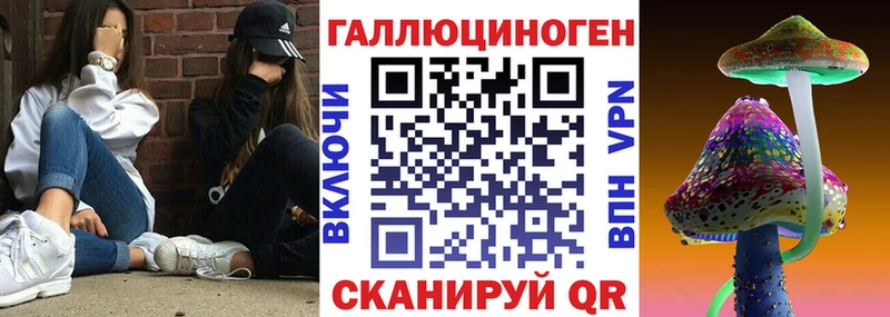 закладка  Егорьевск  Галлюциногенные грибы прущие грибы 